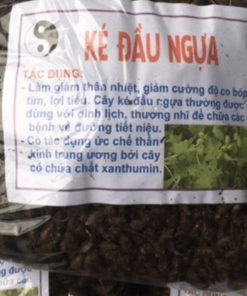 cây ké đầu ngựa trị sỏi thận