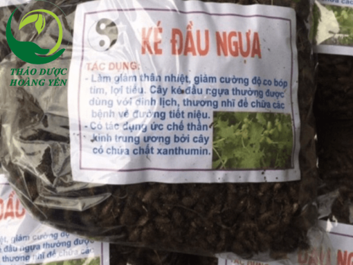 cây ké đầu ngựa trị sỏi thận