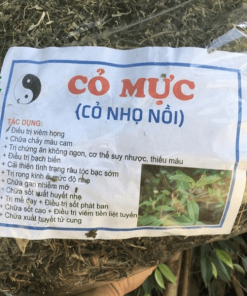 cỏ mực hạ sốt cho bé