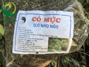 cỏ mực hạ sốt cho bé