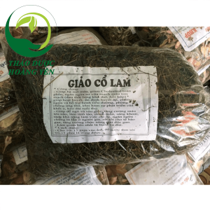 giảo cổ lam trị mụn