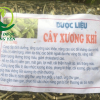 cây xương khỉ bìm bịp