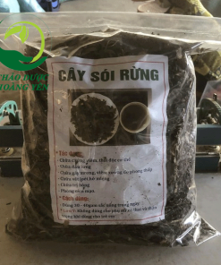 cây sói rừng làm thuốc