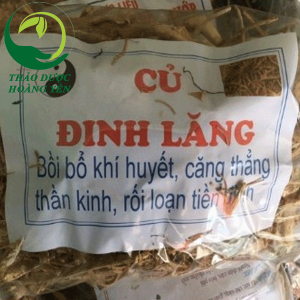 củ đinh lăng phơi khô