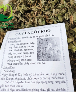 lá lốt sấy khô