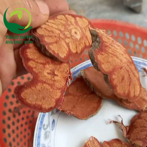 cây móng bò là cây gì