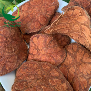 cây móng bò lửa