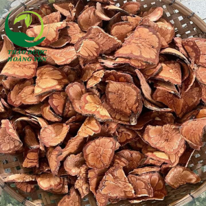 giá cây móng bò