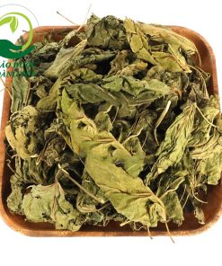 Uống nước lá dâu tằm có tác dụng gì