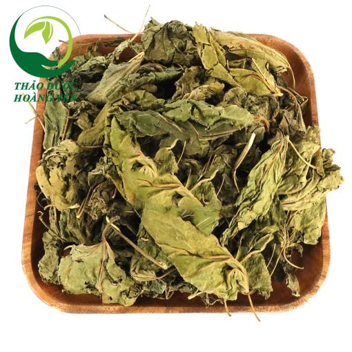 Uống nước lá dâu tằm có tác dụng gì