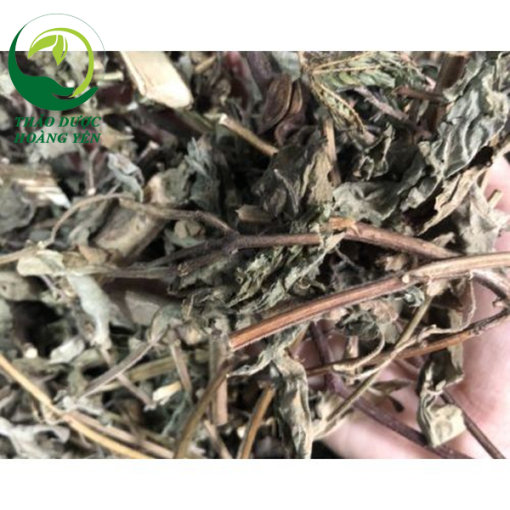 cây hương nhu có uống được không