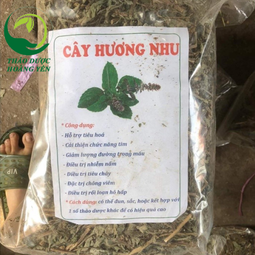 cây hương nhu khô