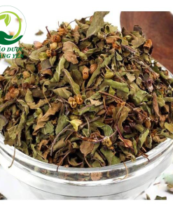 công dụng của cây hương nhu tía