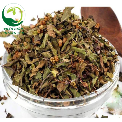 công dụng của cây hương nhu tía