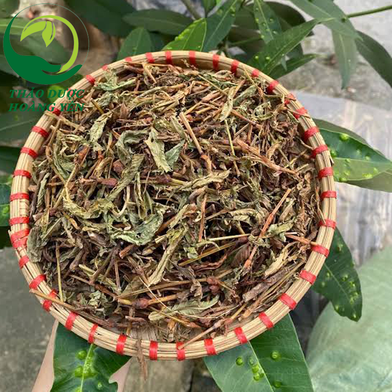 cây-nghể-răm-là-cây-gì